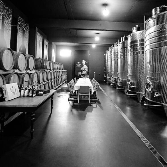 Wine Hotel Cesarica Međugorje Exteriér fotografie