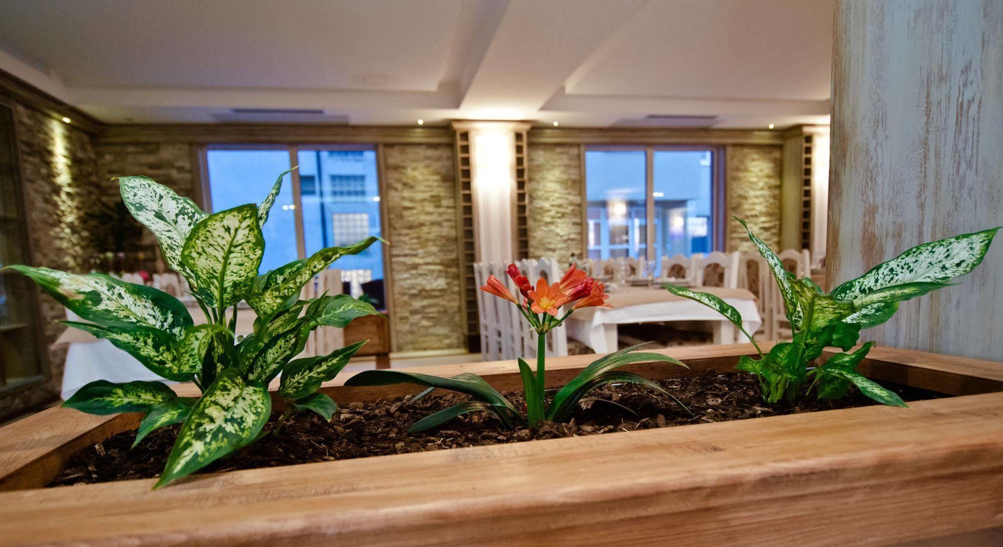 Wine Hotel Cesarica Međugorje Exteriér fotografie