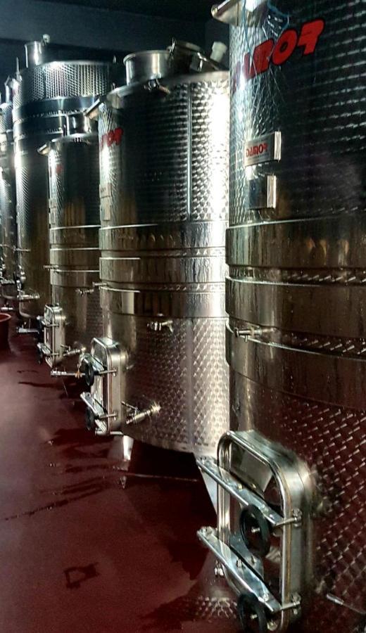 Wine Hotel Cesarica Međugorje Exteriér fotografie